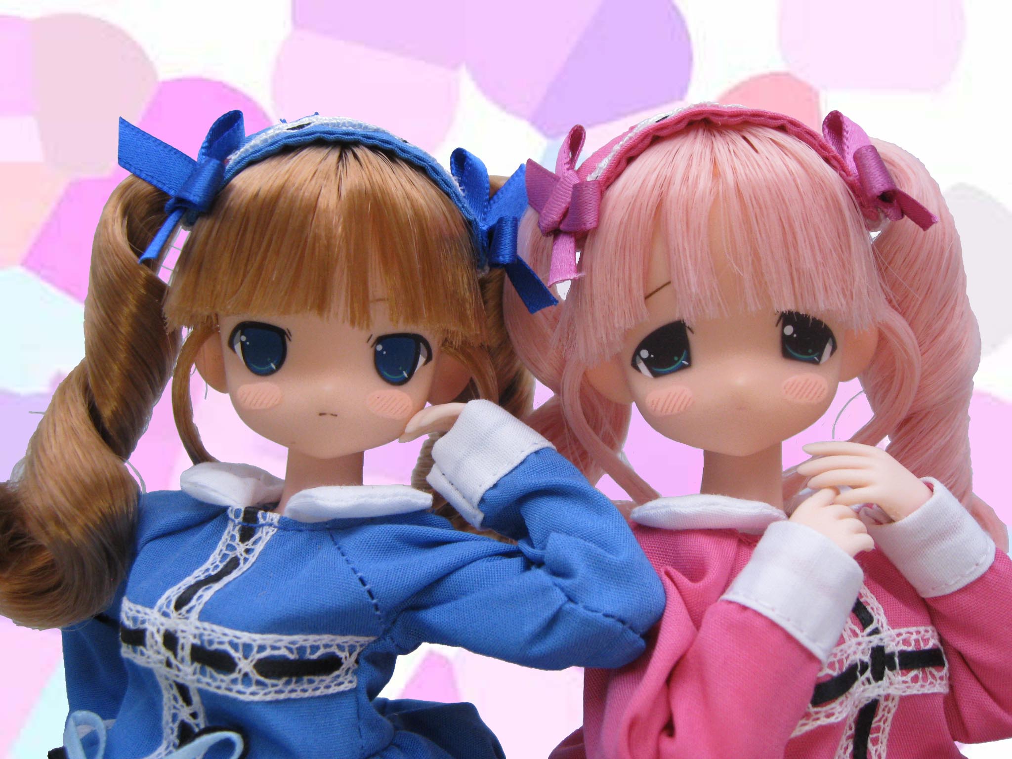 ＼ ハンドメイド／ もこちゃん CCS 22SS momoko | PW-momoko | PetWORKs